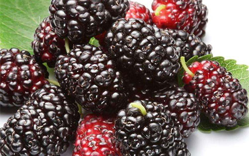 Ƥ�����ܺ�ʲôһ��� Ƥ���Ĵ������